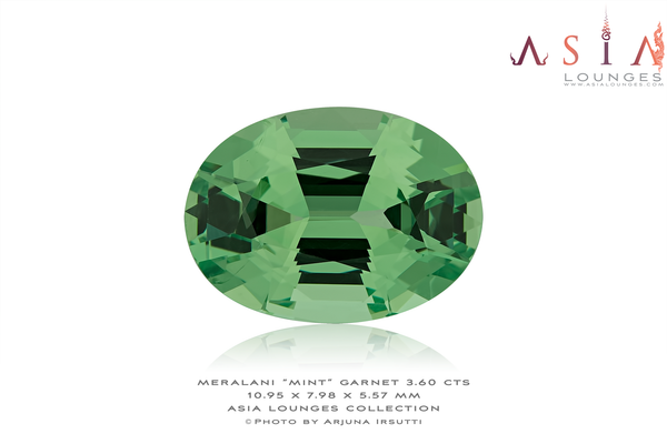 Tanzanian Merelani "Mint" Garnet 3.60 cts - Asia Lounges
