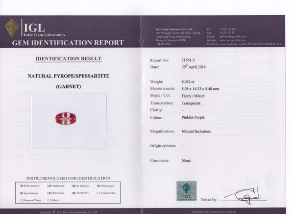Tanzania Malaya Garnet 6.05 cts - Asia Lounges